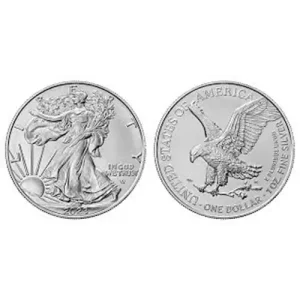1 oz American Silver Eagle: Lady Liberty with sun/flag front, eagle with branch back. USA coin.